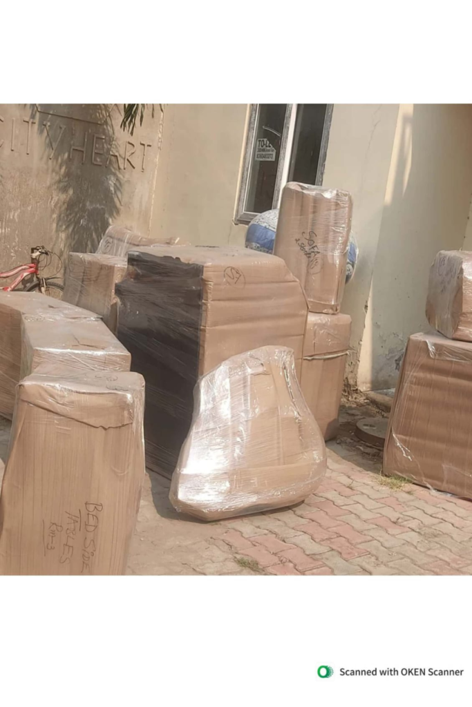 packing services in hallomajra