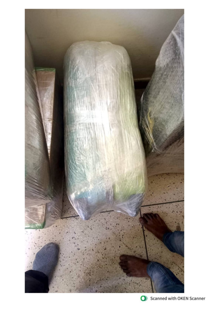 packing services in pinjore